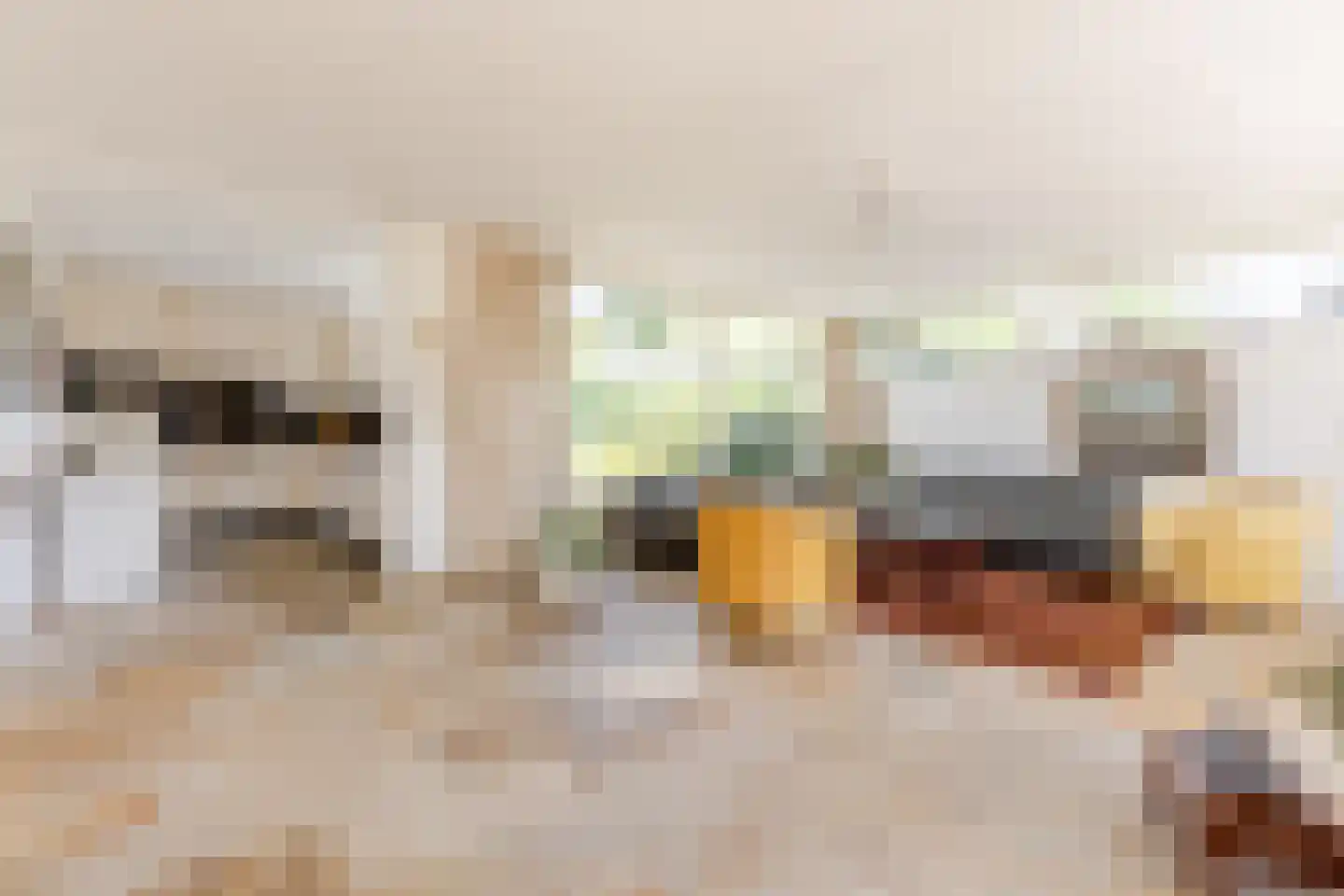 Zuiderparklaan 42 Bergschenhoek thumbnail 5