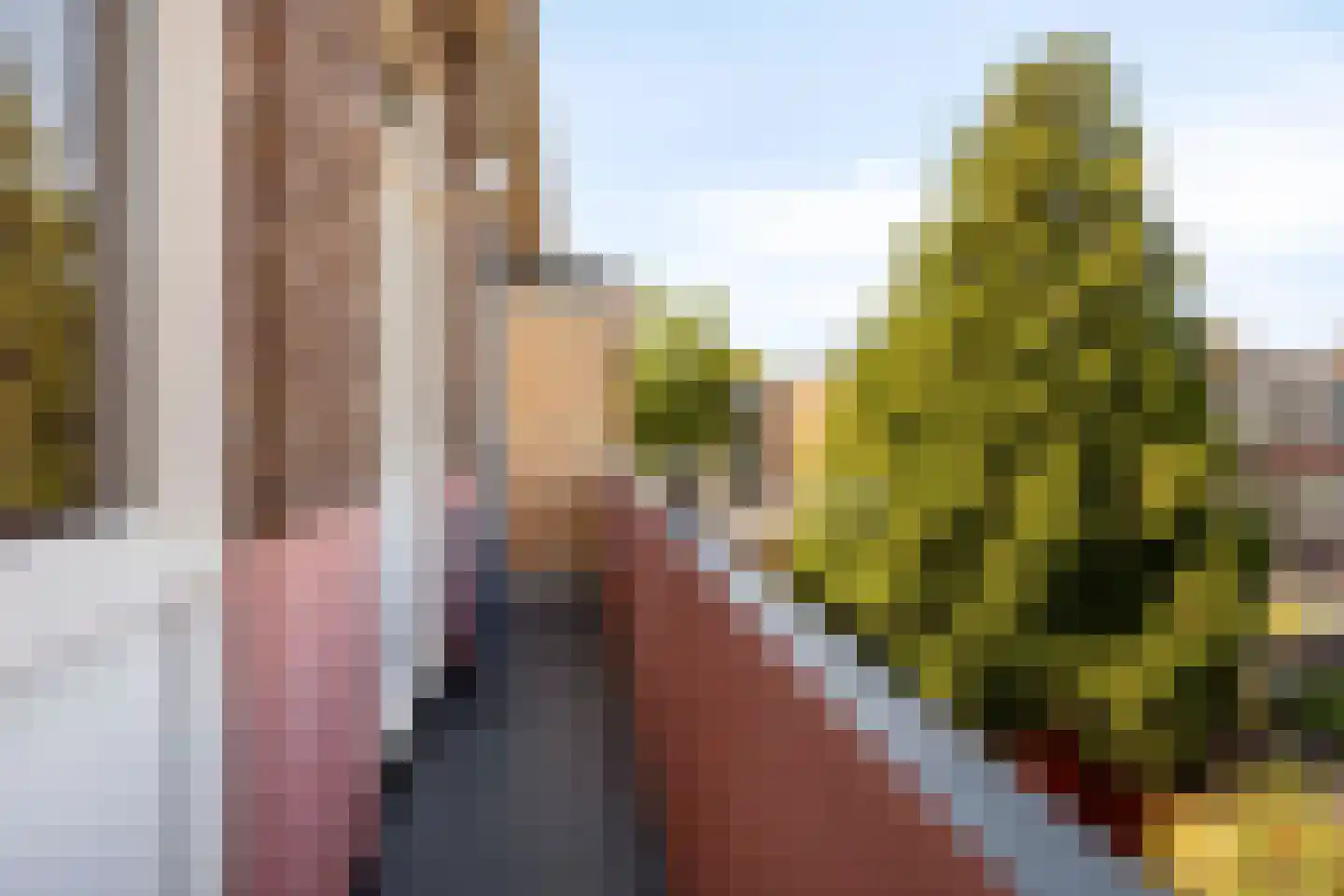 Zuiderparklaan 470 Den Haag thumbnail 35