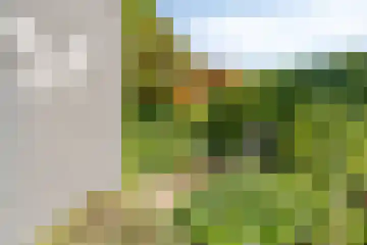 Zuiderparklaan 474 Den Haag thumbnail 12