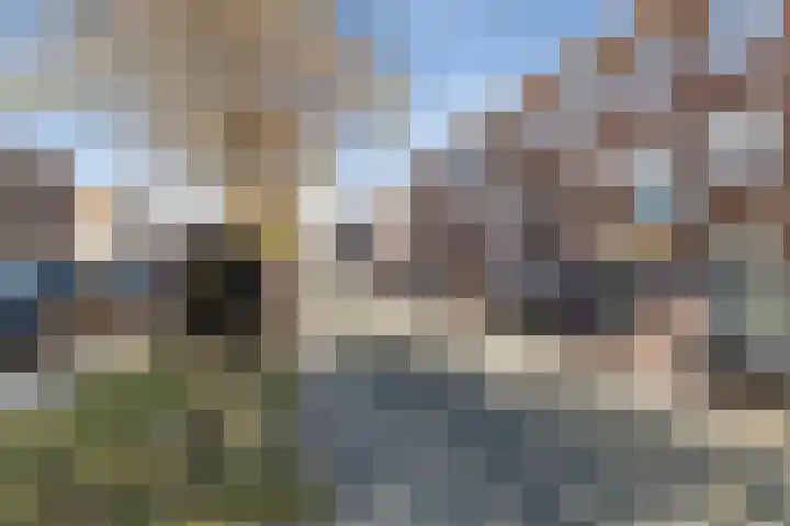 Zuiderparklaan 474 Den Haag thumbnail 15