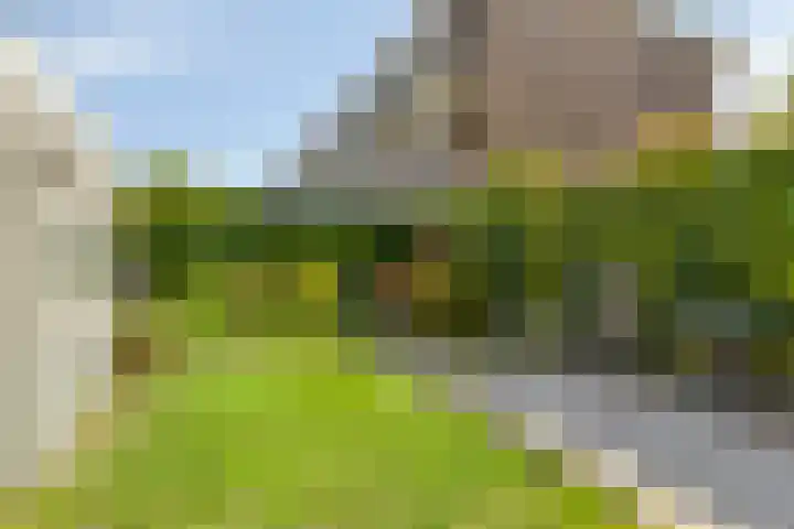 Zuiderparklaan 474 Den Haag thumbnail 31
