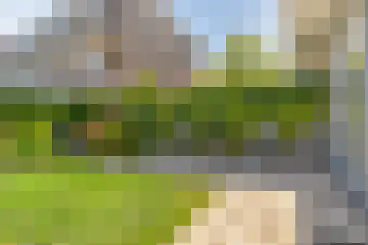 Zuiderparklaan 474 Den Haag thumbnail 32