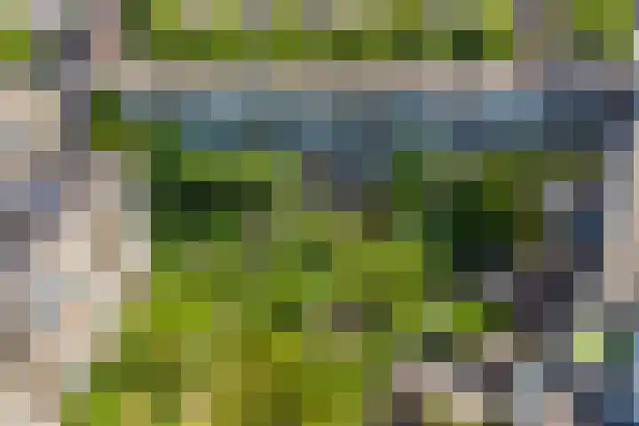 Zuiderparklaan 493 Den Haag thumbnail 23