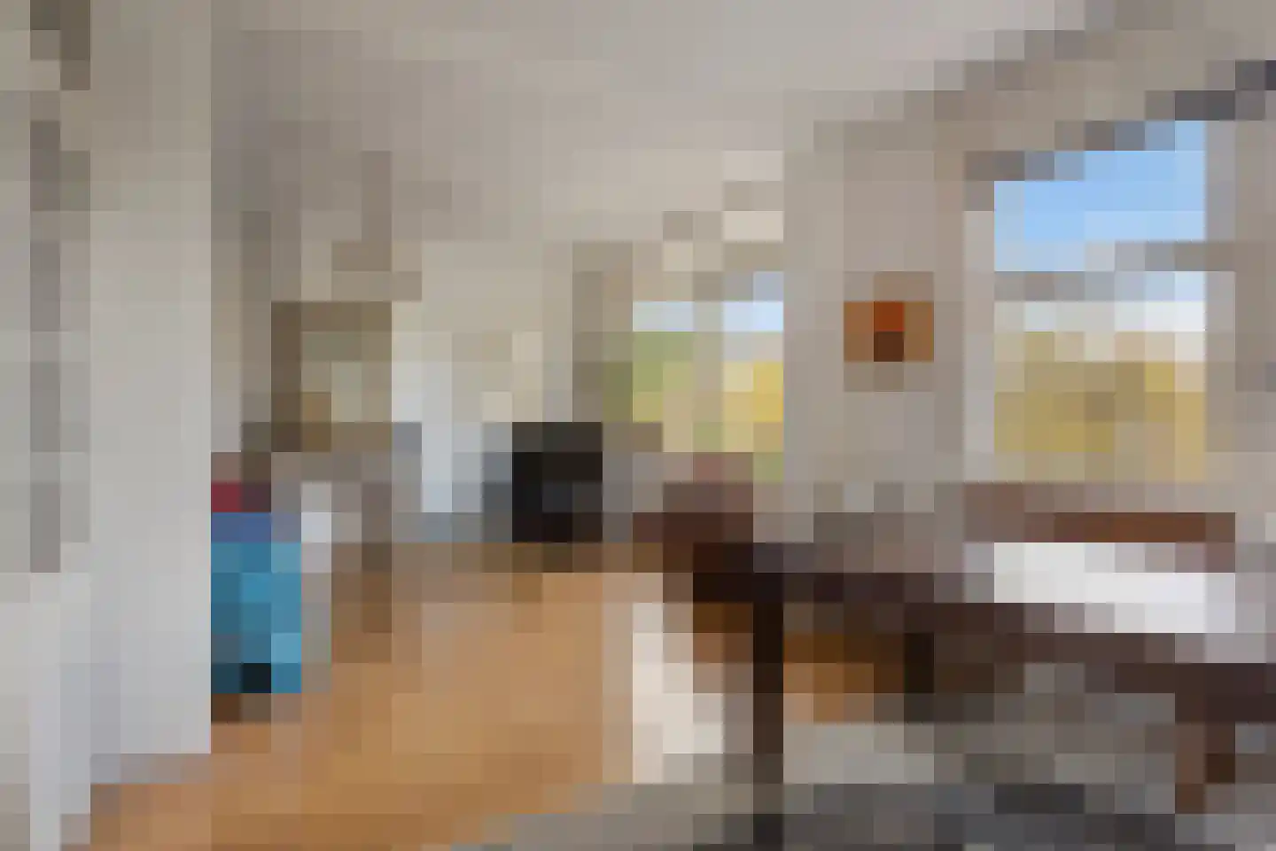 Zuiderparklaan 54 Den Haag thumbnail 12