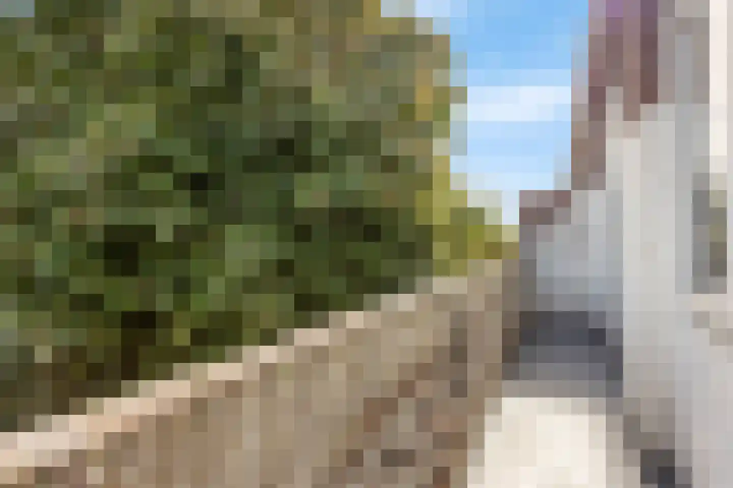Zuiderparklaan 54 Den Haag thumbnail 6