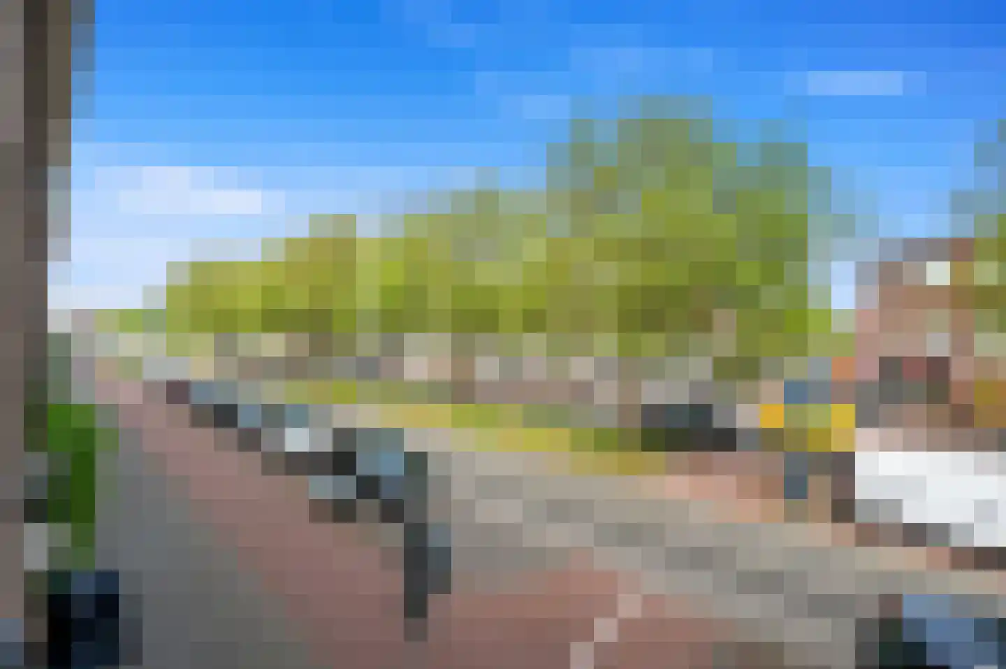 Zuiderparklaan 55 Den Haag thumbnail 31