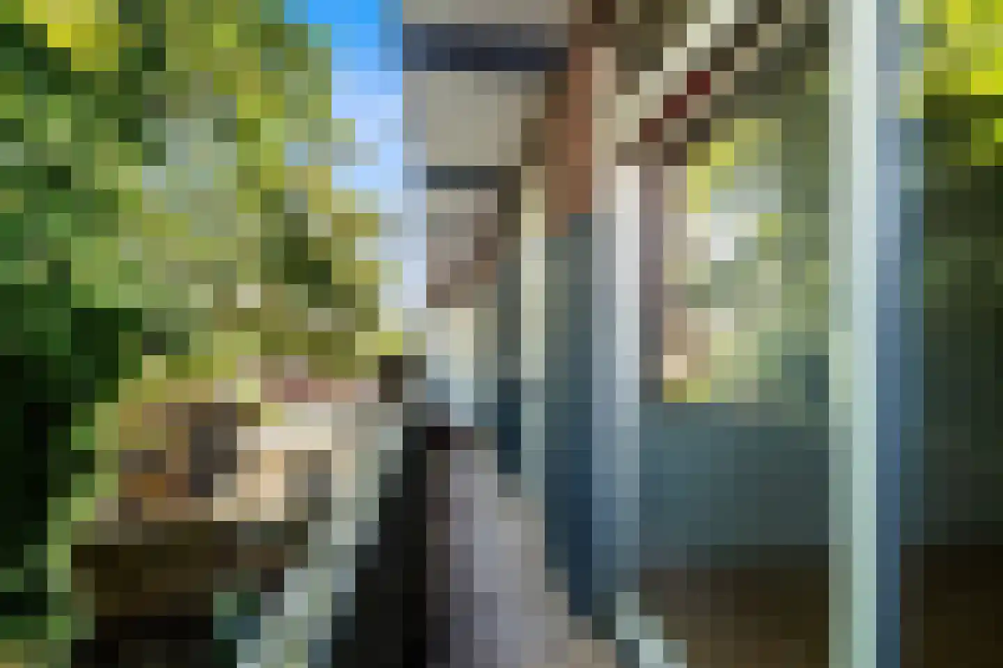 Zuiderparklaan 62 Den Haag thumbnail 12
