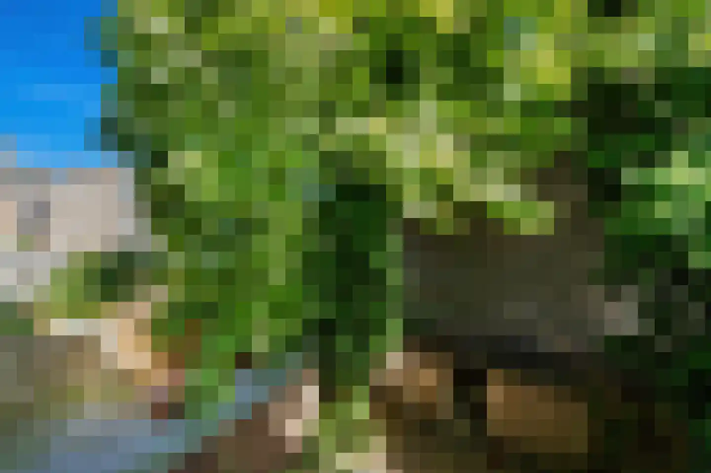 Zuiderparklaan 62 Den Haag thumbnail 13