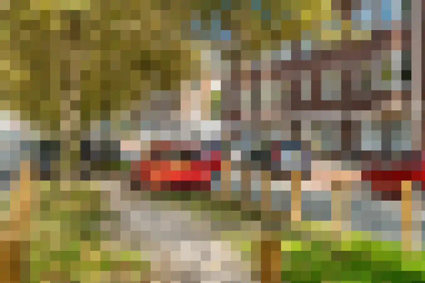 Zuiderparklaan 62 Den Haag thumbnail 30