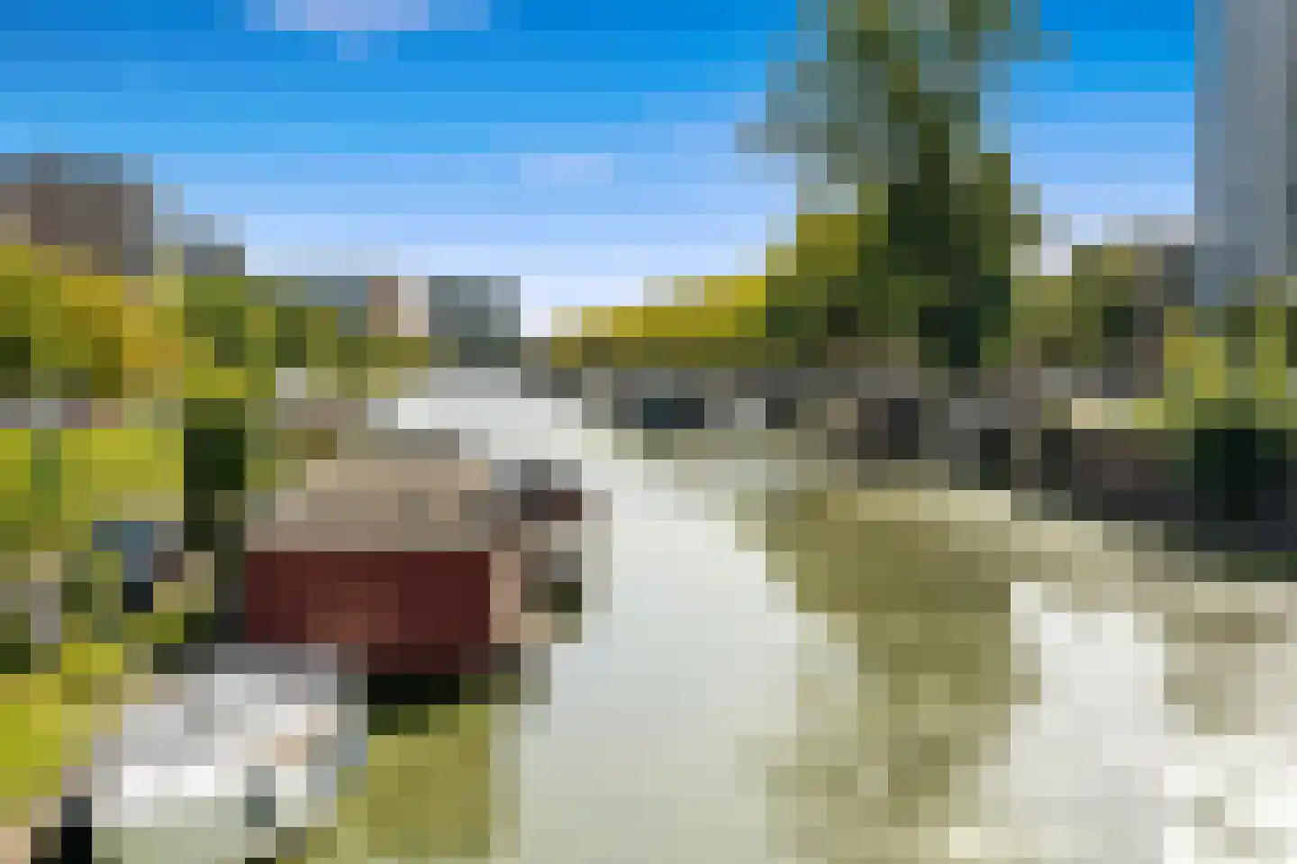 Zuiderparklaan 62 Den Haag thumbnail 33