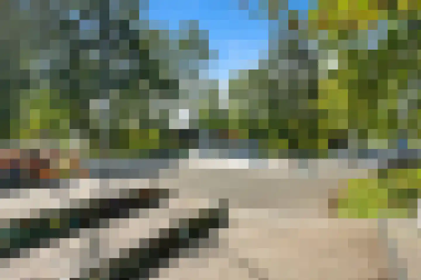 Zuiderparklaan 62 Den Haag thumbnail 34