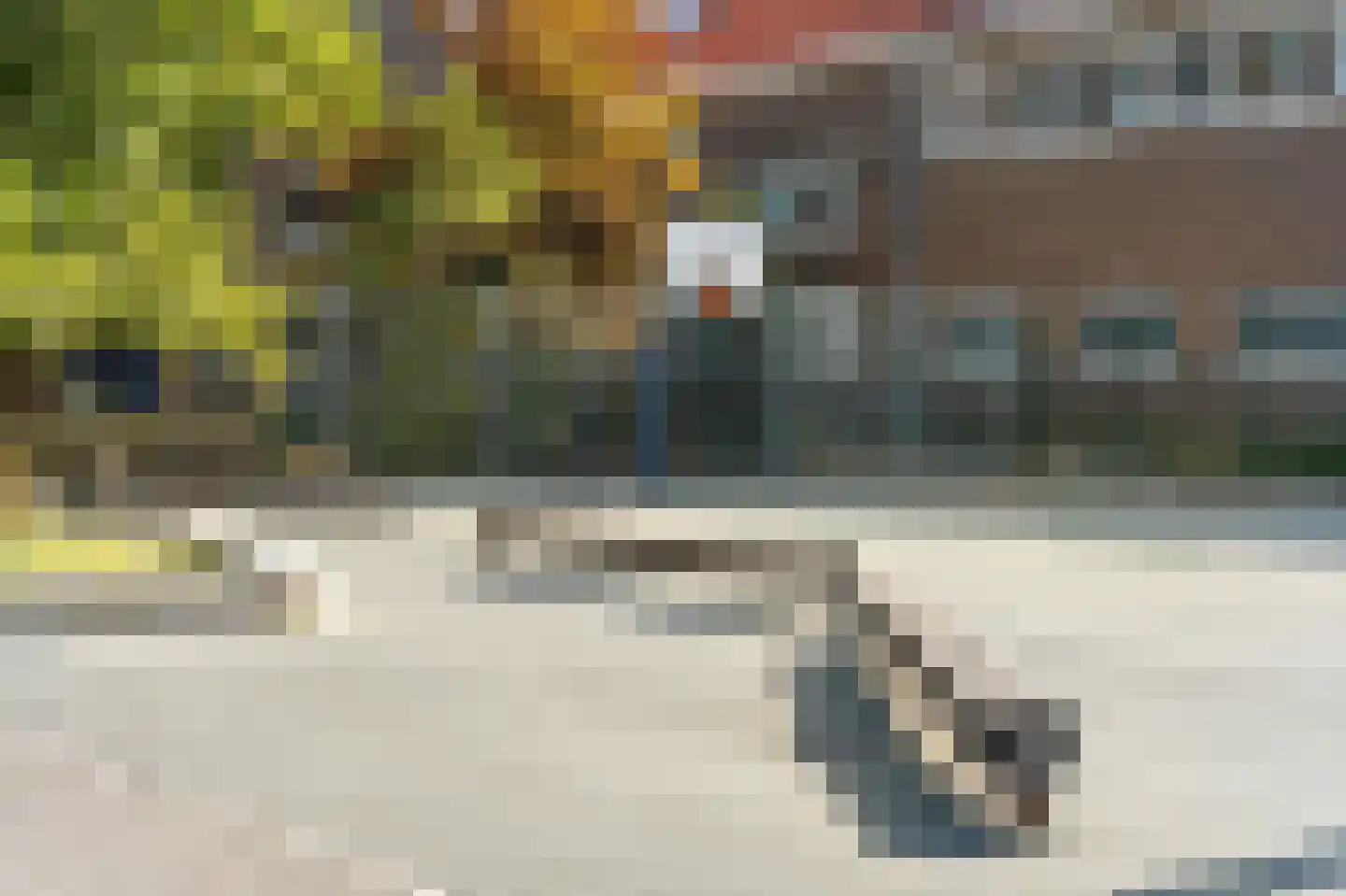 Zuiderparklaan 62 Den Haag thumbnail 36