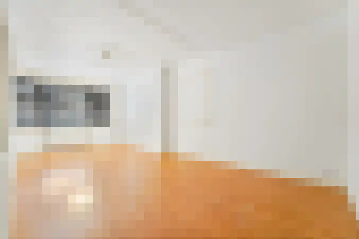Zuiderparklaan 62 Den Haag thumbnail 4