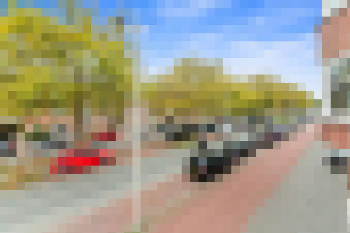 Zuiderparklaan 68 Den Haag thumbnail 12