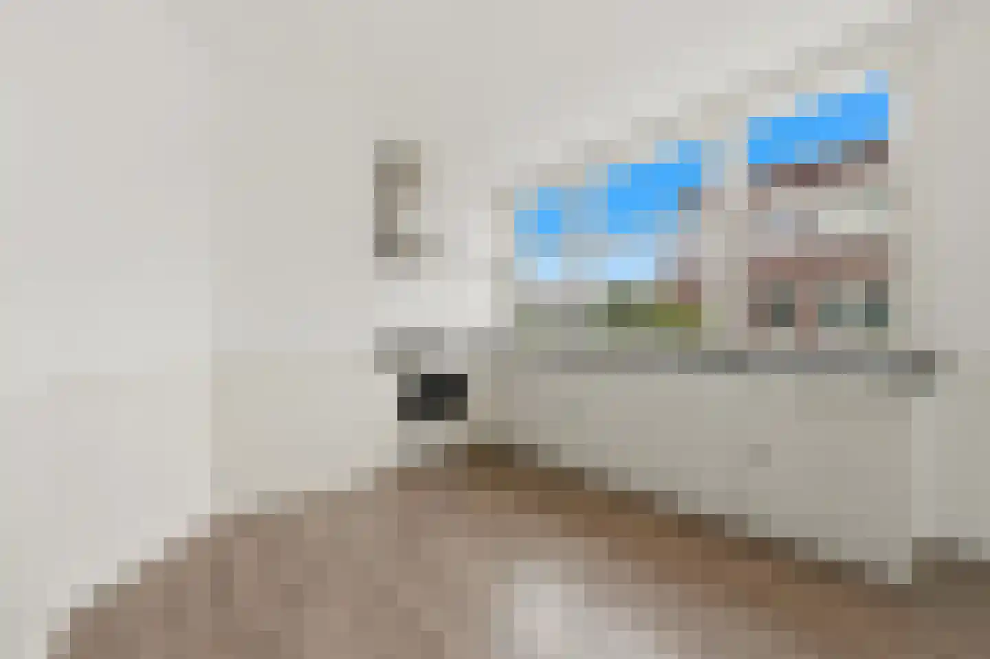 Zuiderparklaan 68 Den Haag thumbnail 17