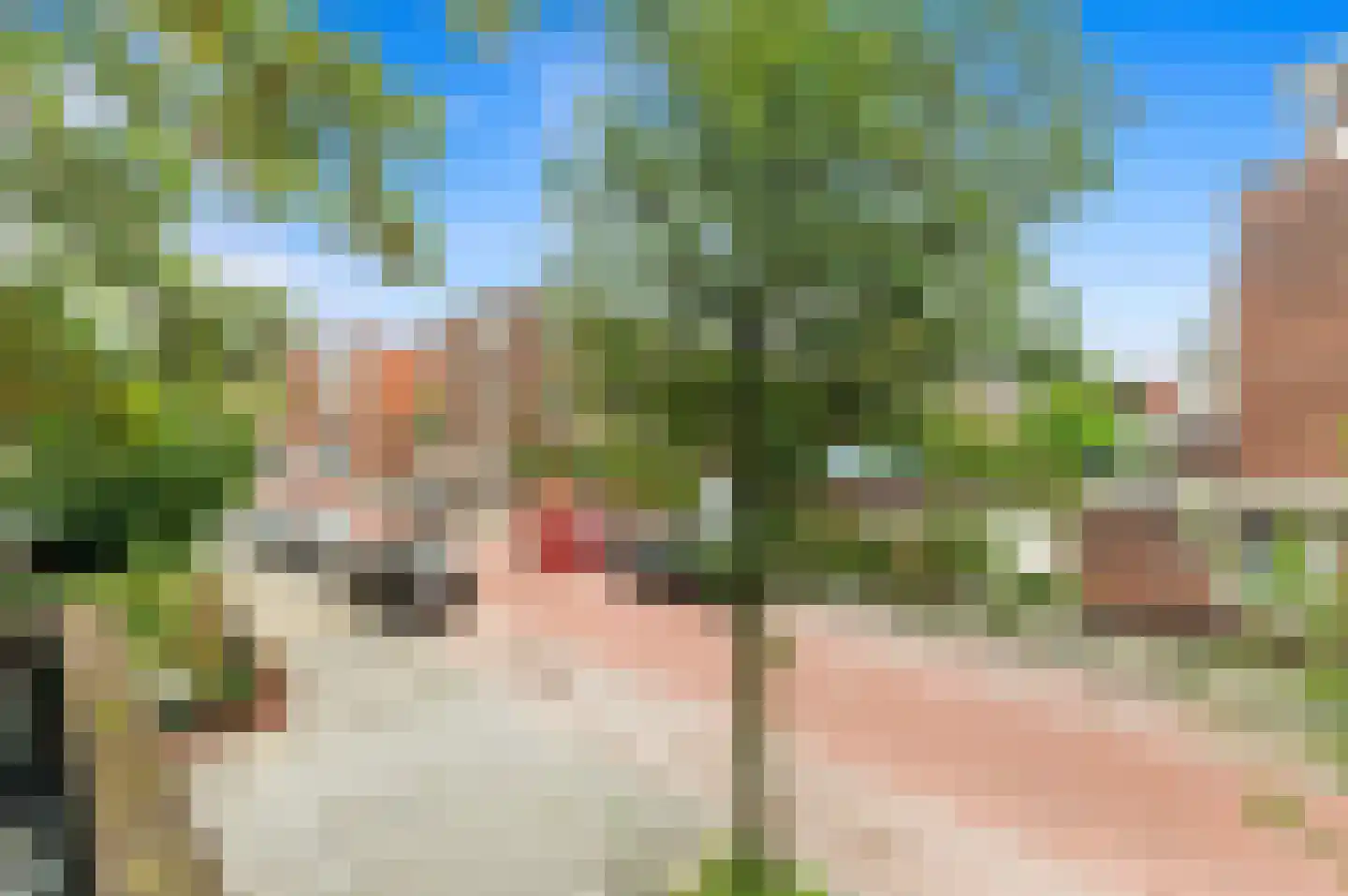 Zuiderparklaan 68 Den Haag thumbnail 28