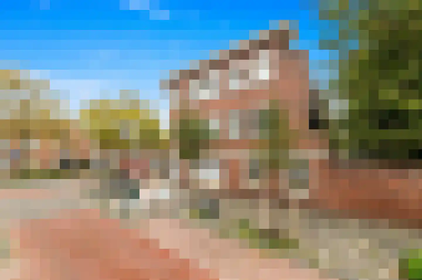 Zuiderparklaan 68 Den Haag thumbnail 4