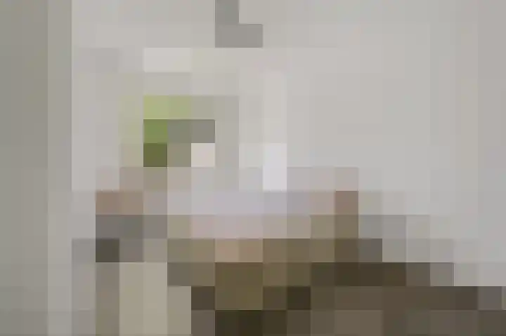 Zuiderparklaan 85 Den Haag thumbnail 15