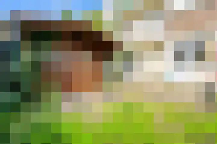Zuiderparklaan 85 Den Haag thumbnail 27