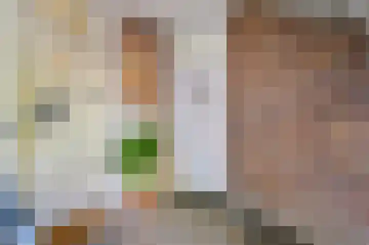 Zuiderparklaan 85 Den Haag thumbnail 8