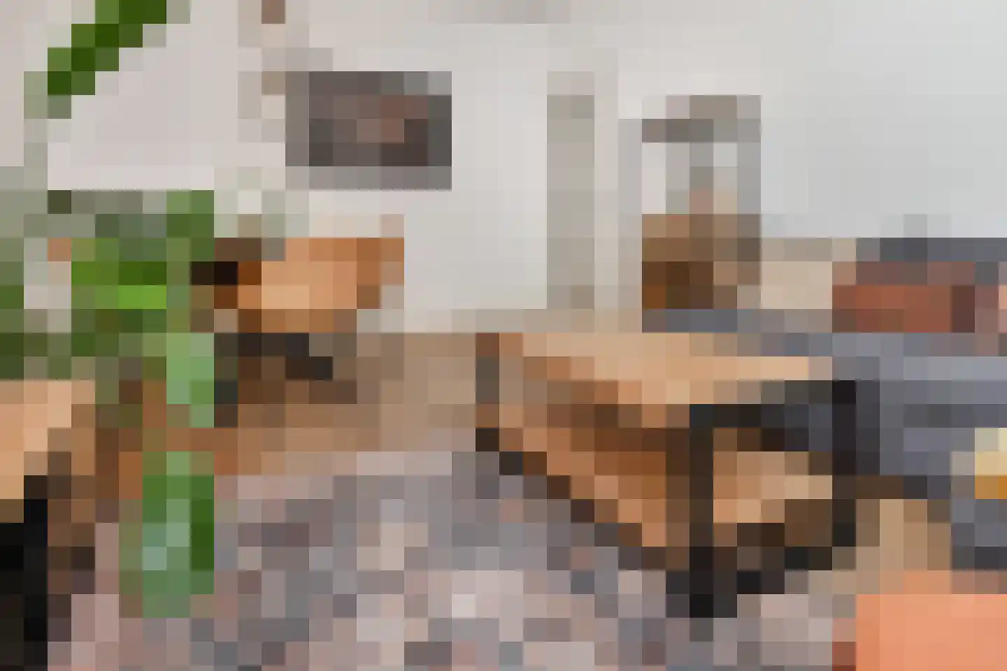 Zuiderparklaan 87 Den Haag thumbnail 22