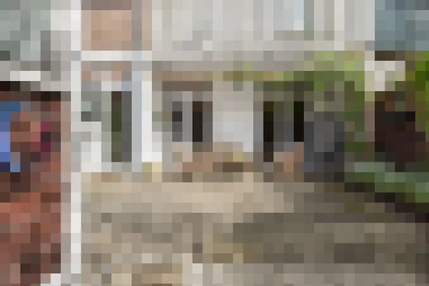 Zuiderparklaan 87 Den Haag thumbnail 34