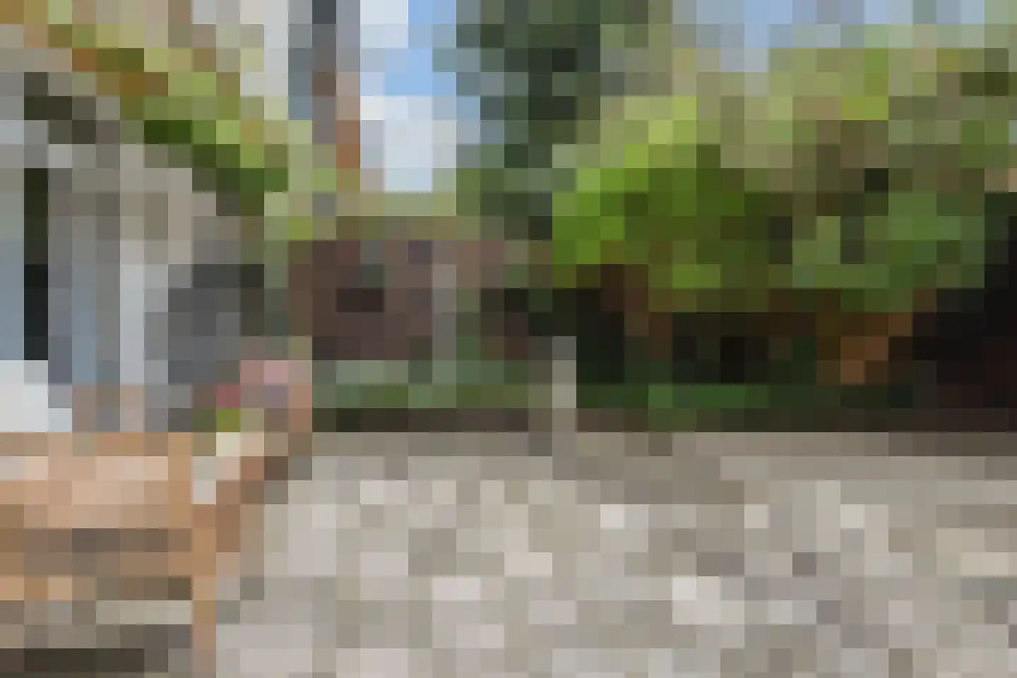 Zuiderparklaan 87 Den Haag thumbnail 38