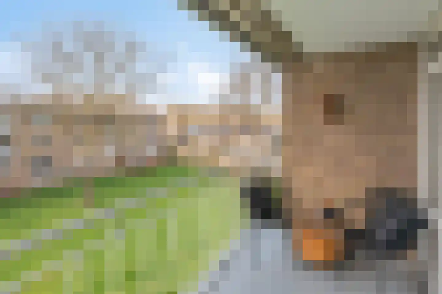 Zuiderparkweg 232 's-Hertogenbosch thumbnail 5