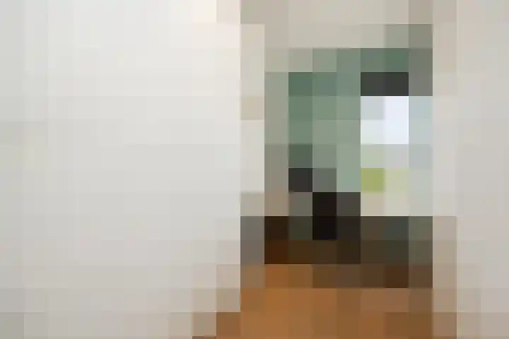 Zuiderparkweg 256 's-Hertogenbosch thumbnail 33