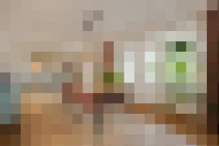 Zuiderparkweg 256 's-Hertogenbosch thumbnail 4
