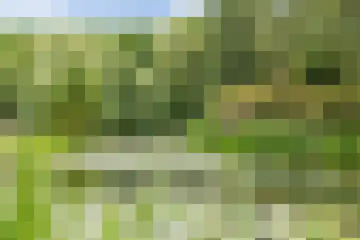 Zuiderparkweg 256 's-Hertogenbosch thumbnail 46