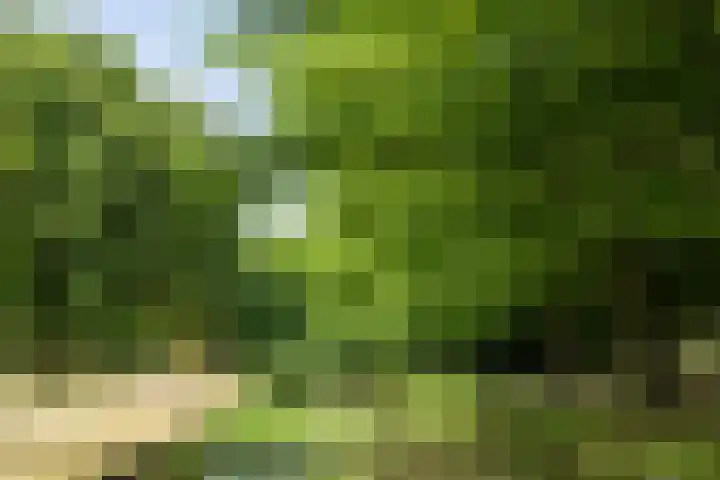 Zuiderparkweg 256 's-Hertogenbosch thumbnail 47