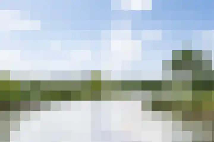 Zuiderparkweg 256 's-Hertogenbosch thumbnail 49