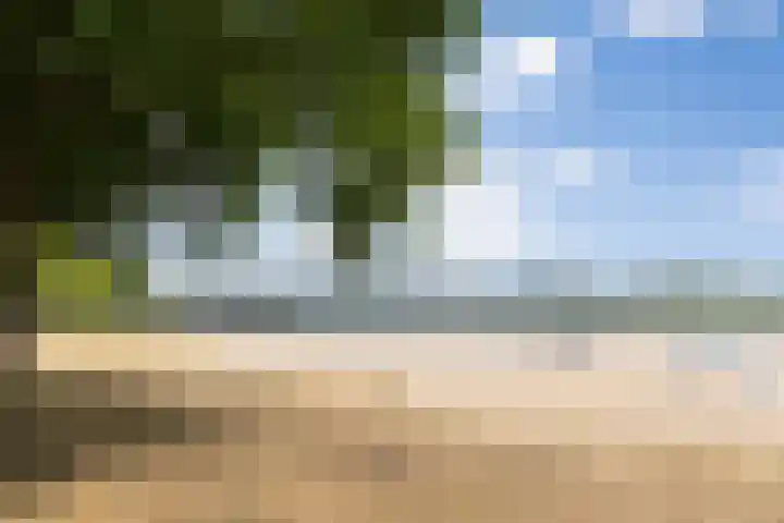 Zuiderparkweg 256 's-Hertogenbosch thumbnail 51