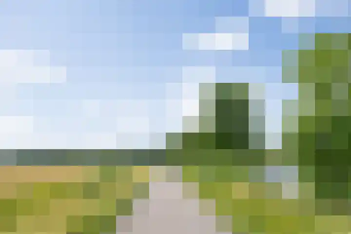 Zuiderparkweg 256 's-Hertogenbosch thumbnail 52