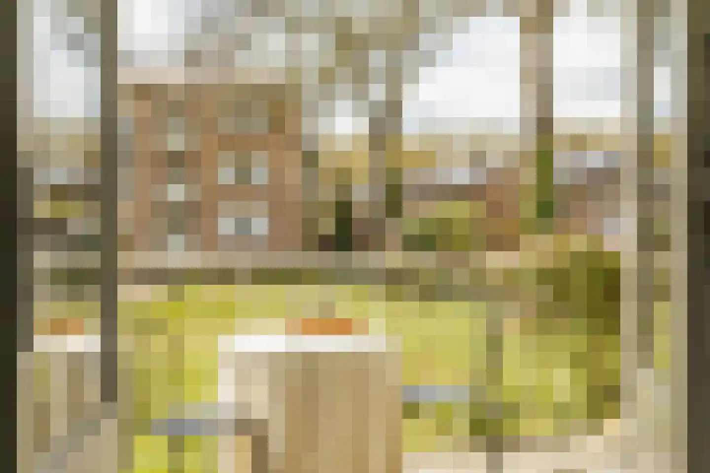Zuiderparkweg 264 's-Hertogenbosch thumbnail 11