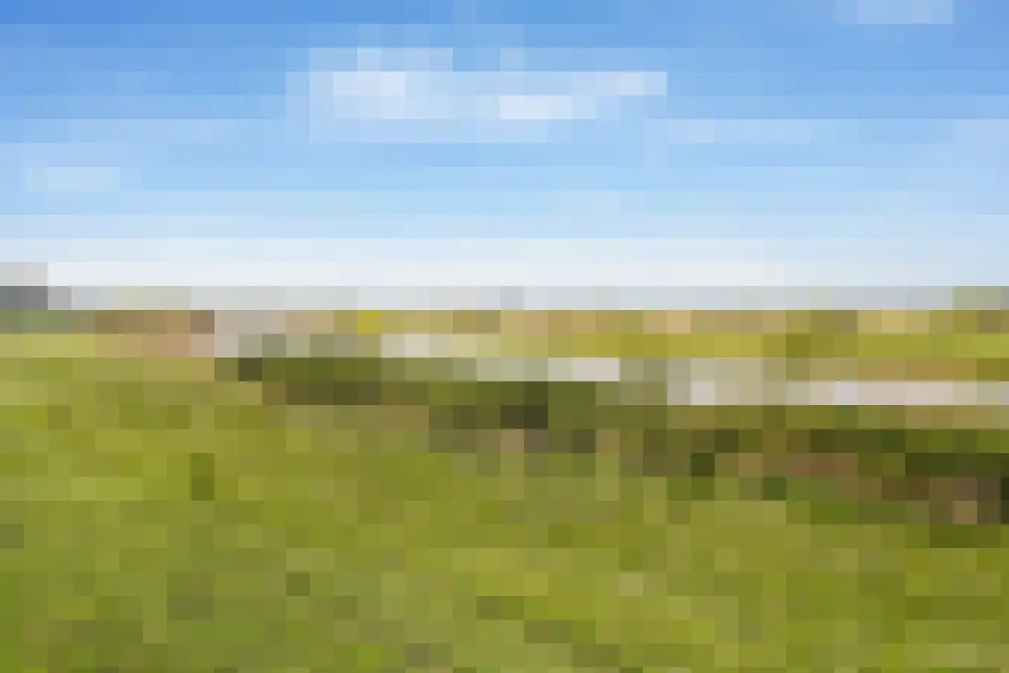 Zuiderparkweg 264 's-Hertogenbosch thumbnail 33