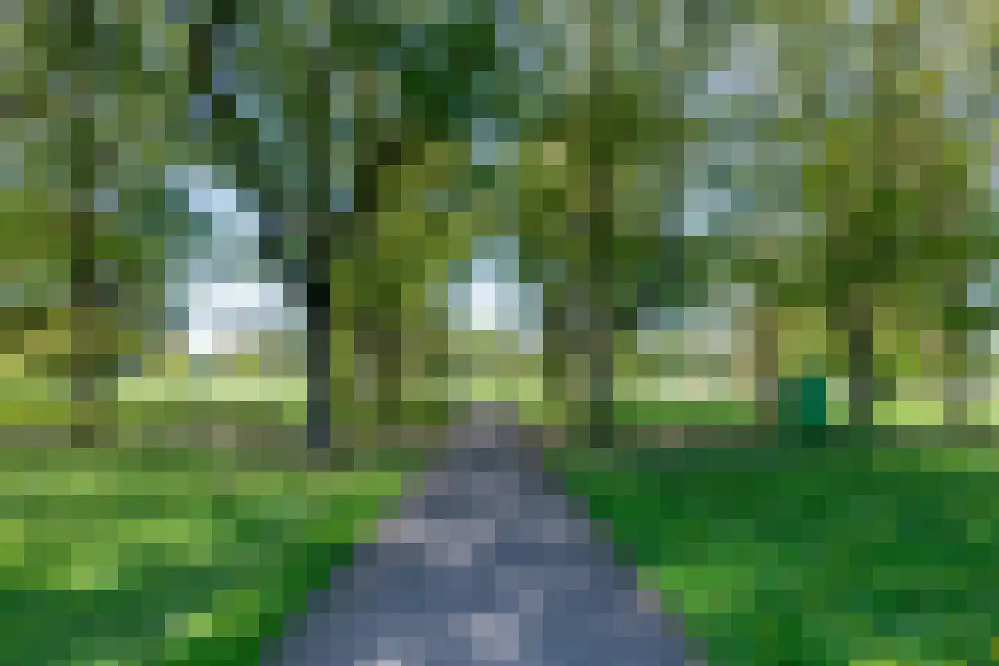 Zuiderpassage 13 's-Hertogenbosch thumbnail 44