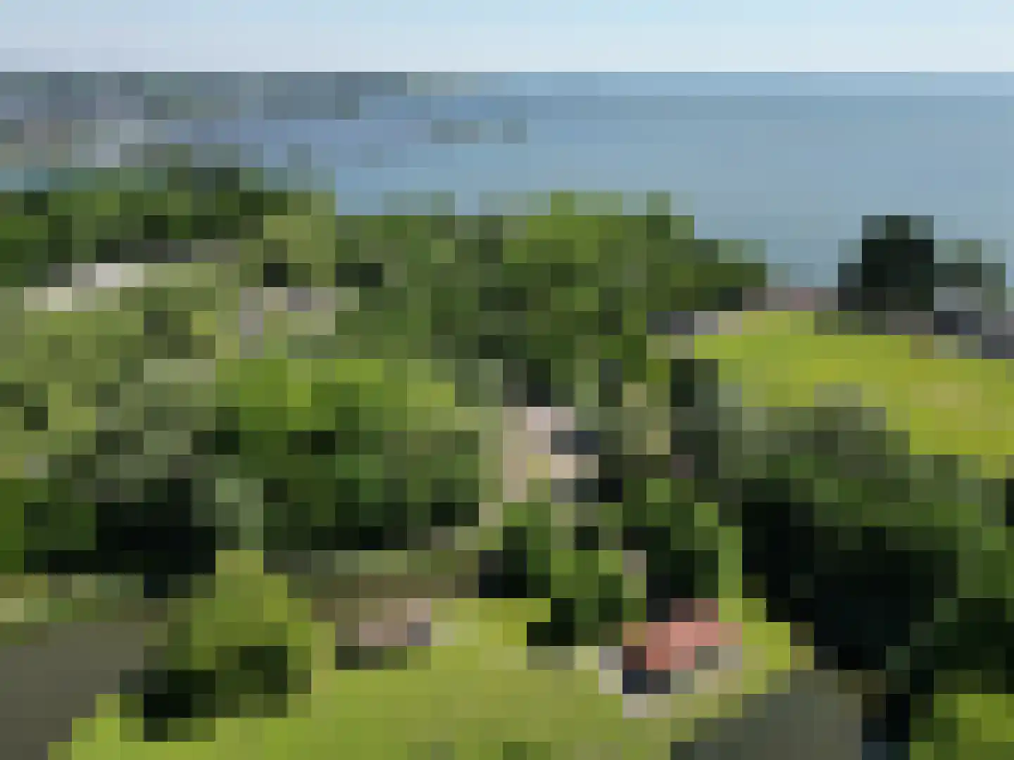 Zuiderplantsoen 18 Hoorn thumbnail 40