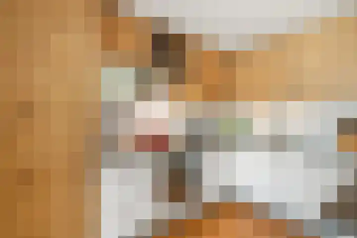 Zuiderplantsoen 2 De Meern thumbnail 16