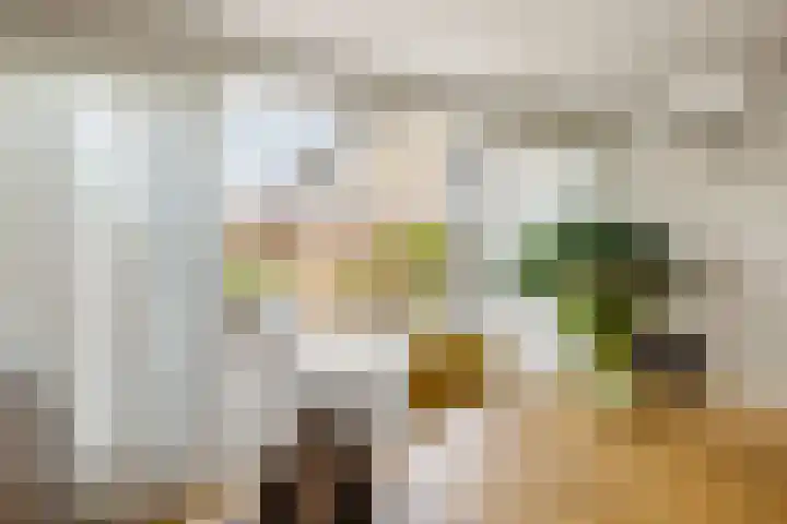 Zuiderplantsoen 2 De Meern thumbnail 19
