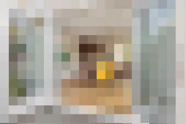 Zuiderplantsoen 2 De Meern thumbnail 26