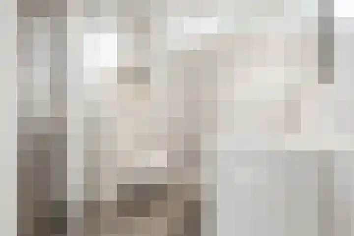 Zuiderplantsoen 2 De Meern thumbnail 31