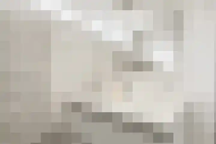 Zuiderplantsoen 2 De Meern thumbnail 33