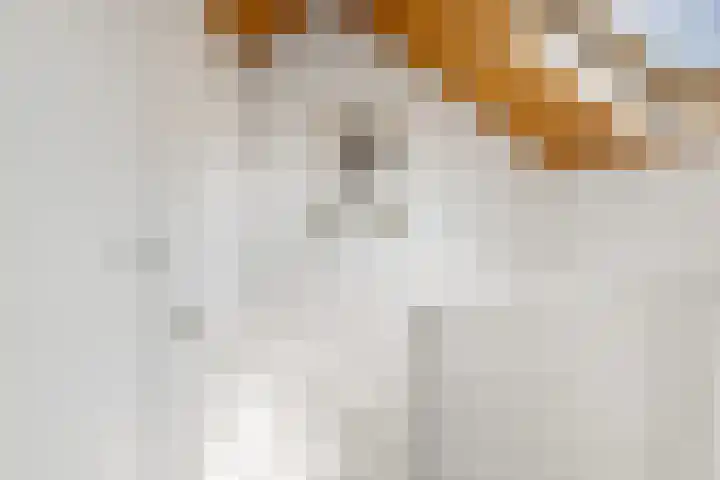 Zuiderplantsoen 2 De Meern thumbnail 39