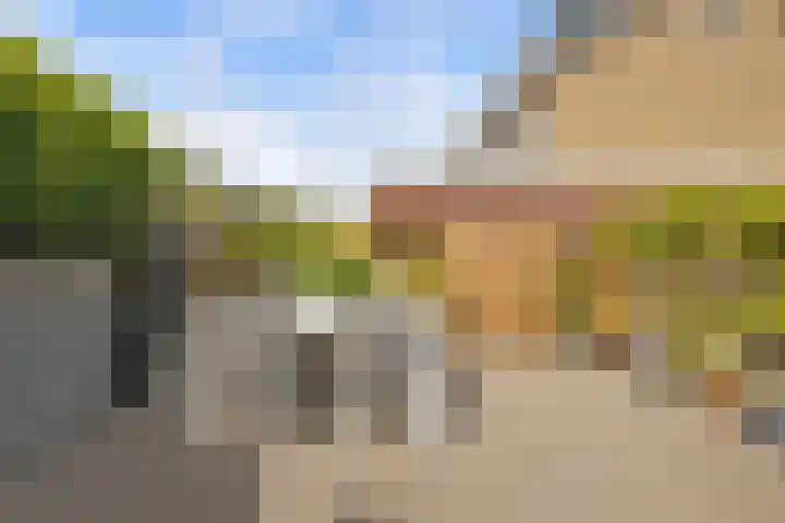 Zuiderplantsoen 2 De Meern thumbnail 4