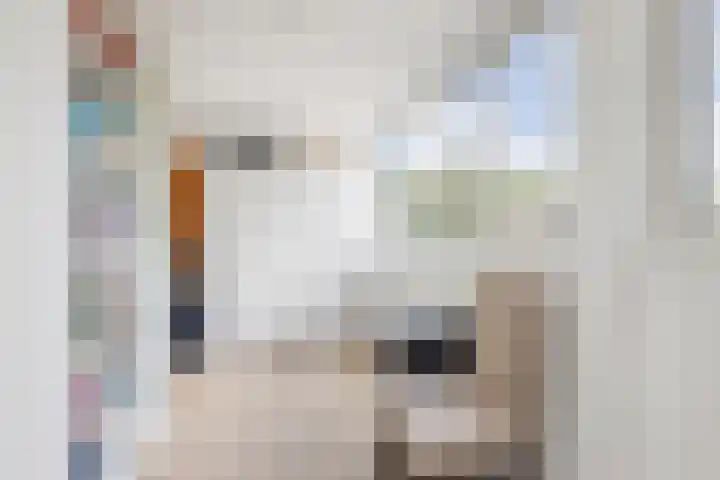 Zuiderplantsoen 2 De Meern thumbnail 46
