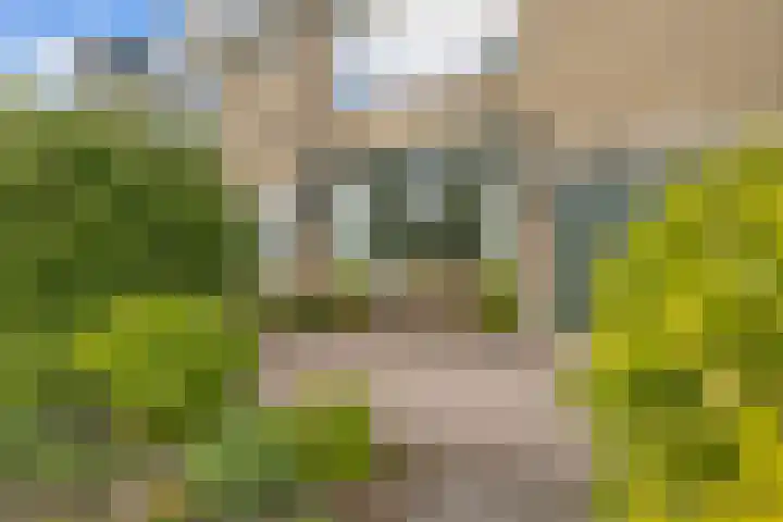 Zuiderplantsoen 2 De Meern thumbnail 47