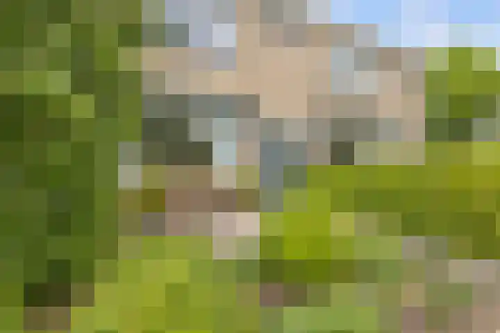 Zuiderplantsoen 2 De Meern thumbnail 48