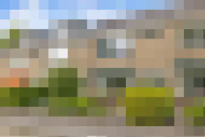 Zuiderplantsoen 2 De Meern thumbnail 50
